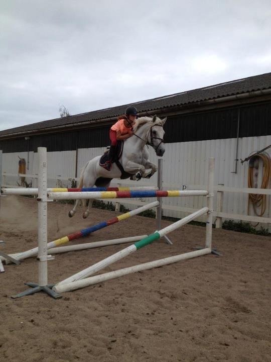 Connemara Fantacy 'Solgt' - 1.20cm med Kirstie på ryggen :) billede 9