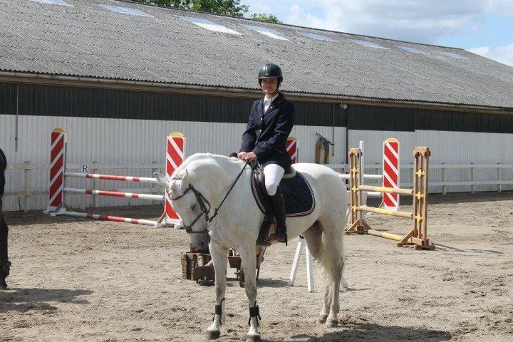 Connemara Fantacy 'Solgt' - Spring stævne med kristie billede 13