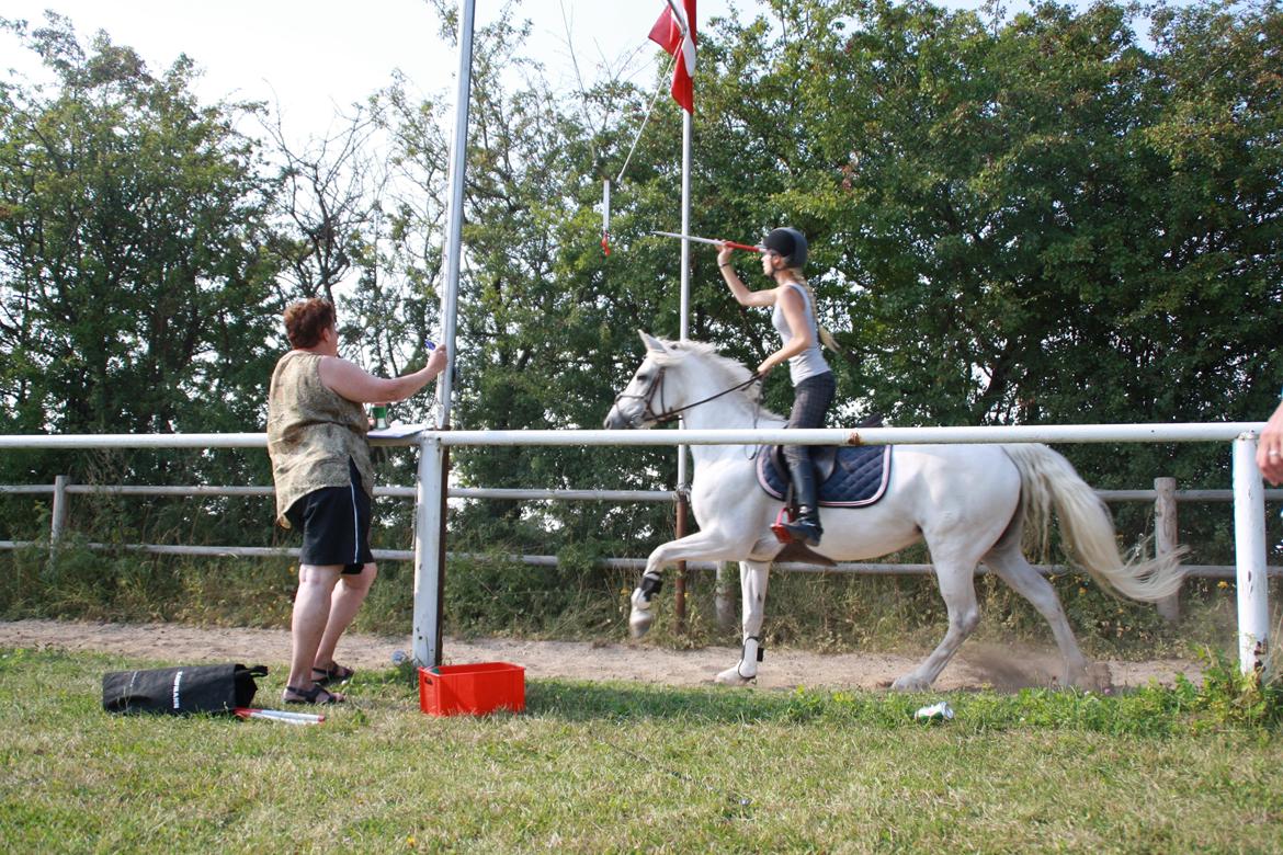 Connemara Fantacy 'Solgt' - Ringridning
Foto: Amalie Lilja Reimer billede 2