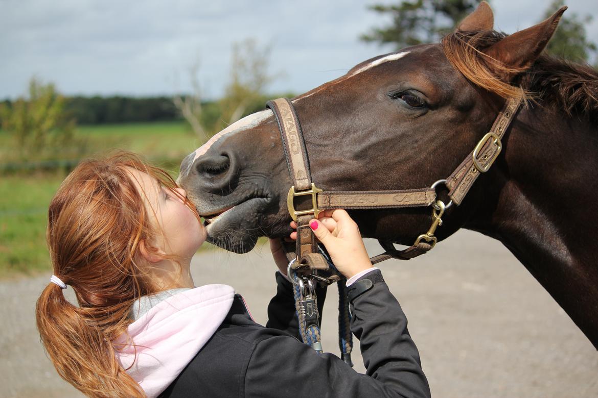 Anden særlig race Miranda (Tidl. hest) - 4) Kyssssse! billede 4