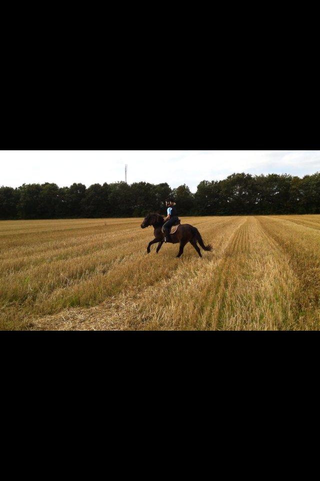 Anden særlig race Chloe - God tur billede 8