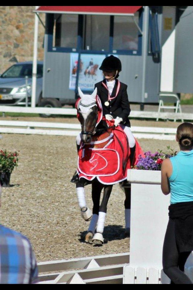 Anden særlig race Ponygårdens Mikkel Danmarksmester x 2 SOLGT - I will miss you! billede 4