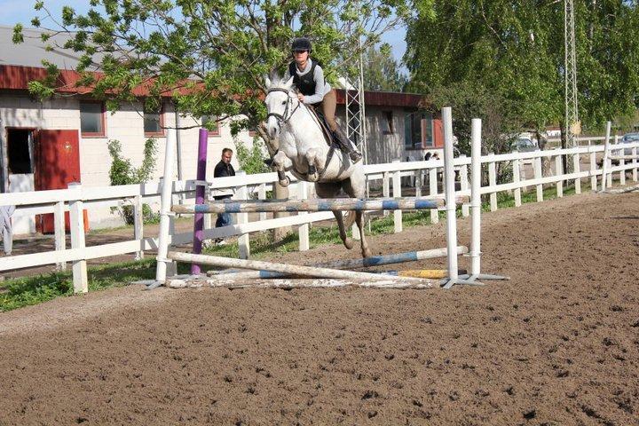 Connemara Mona - Spring træning billede 19