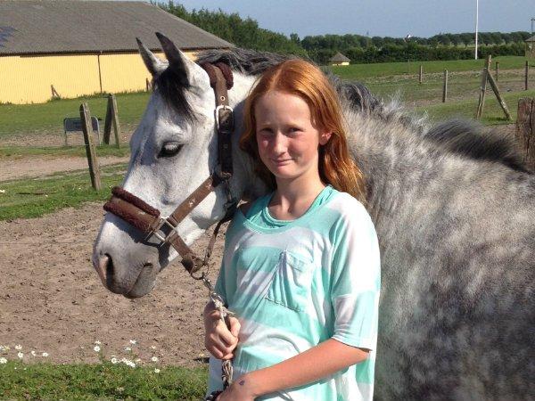 Hollandsk Sportspony Bandit SOLGT:( billede 2