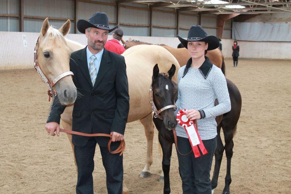 Quarter Shesa Pretty Boons - DKQHA Futurity Weanling Mares 2012  billede 16