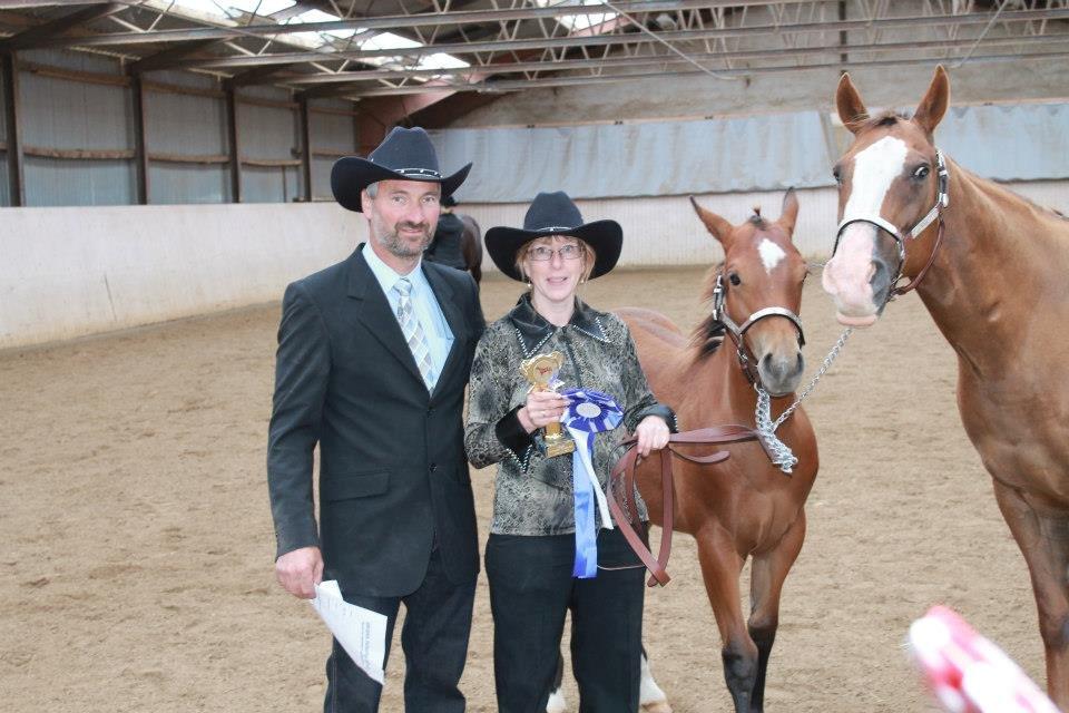Quarter Shesa Pretty Boons - DKQHA Futurity Weanling Mares 2012  billede 20