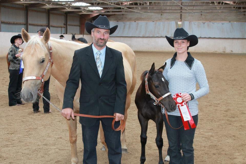 Quarter Shesa Pretty Boons - Velkommen til Amys profil. Her har hun sin mor med til DKQHA Futurity Weanling Mares 2012  billede 2