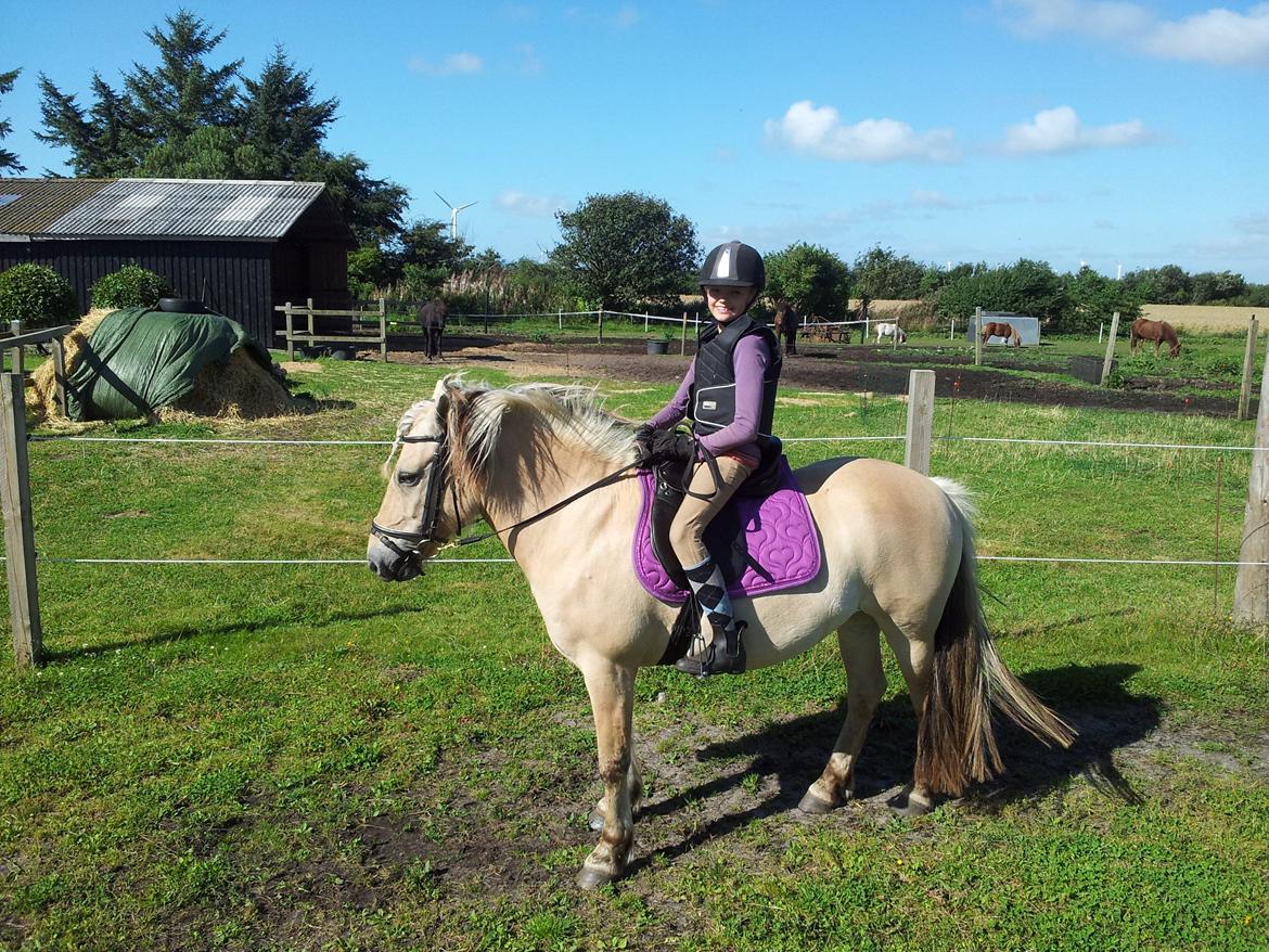 Fjordhest Tøzen [Himmelhest] - Ude at ride med Laura<3 billede 10