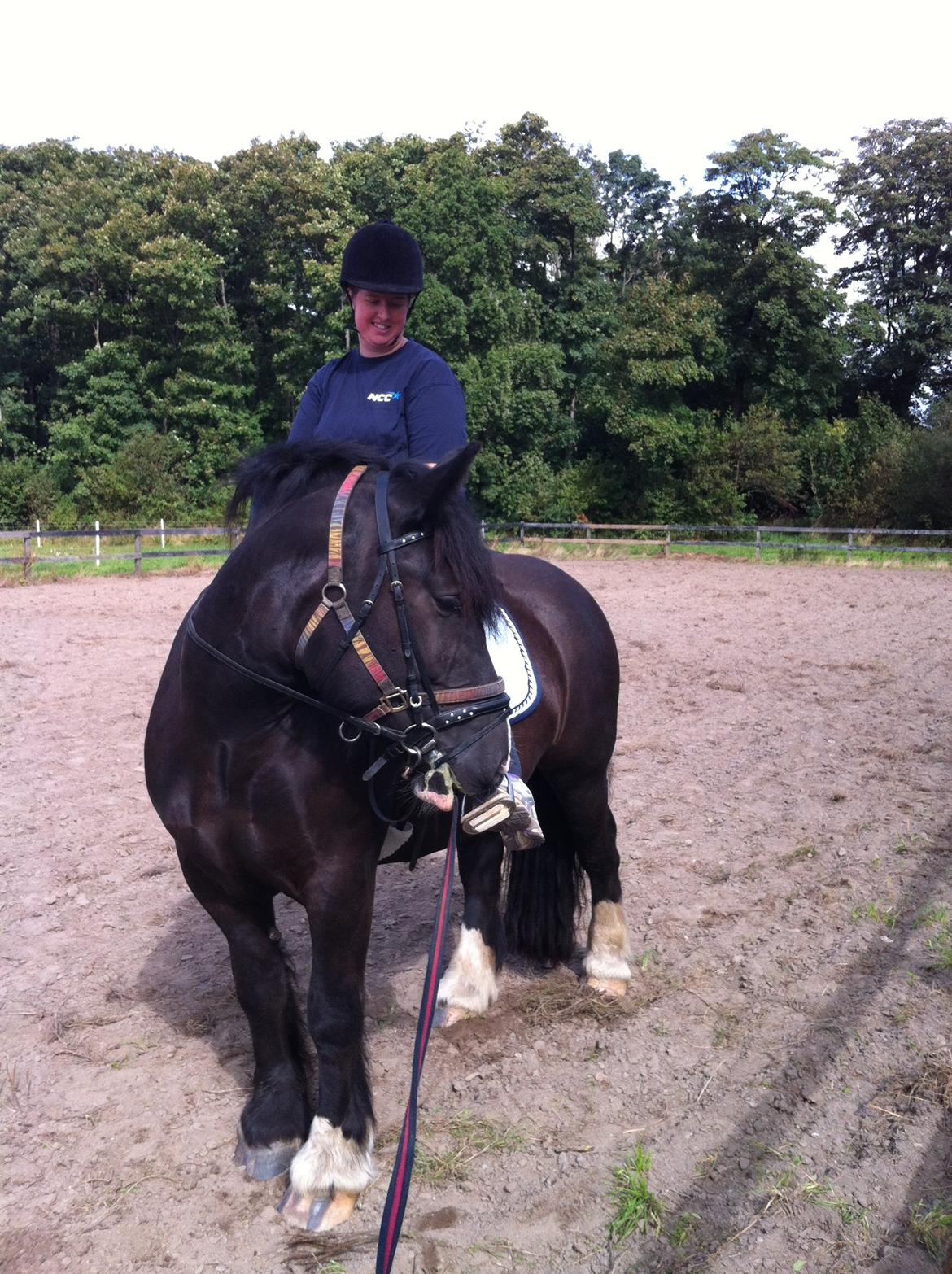 Anden særlig race Herkules - hvorfor sidde du nu på min ryg? billede 8