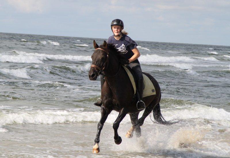 Anden særlig race Sokky billede 16