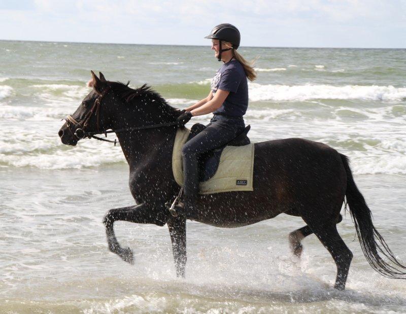 Anden særlig race Sokky - En rigtig vandhund :)) billede 17
