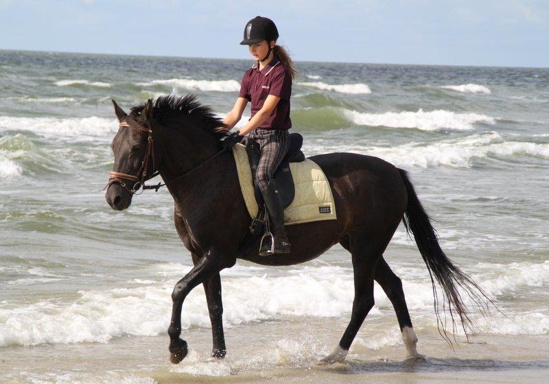 Anden særlig race Sokky billede 18