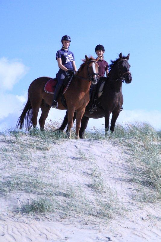 Anden særlig race Sokky - strandløver :-b billede 19