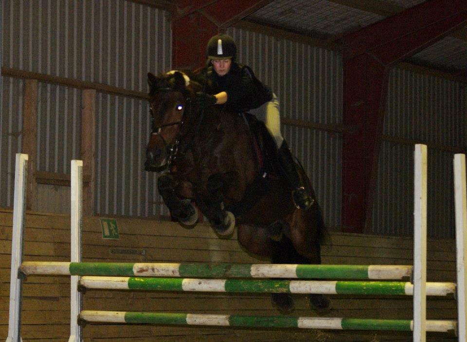 Anden særlig race Balou - 110 cm uden problemer !! Han kan sku godt den gamle :) billede 3