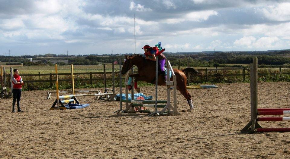 Dansk Varmblod Ça va? - Baby Jump til åbent hus 2012 billede 8