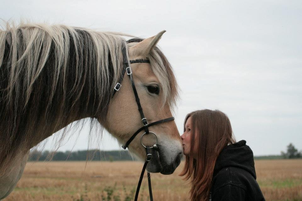 Fjordhest Tanja Min Engel - Tanja du vil altid have en plads i mit hjerte! <3 billede 21