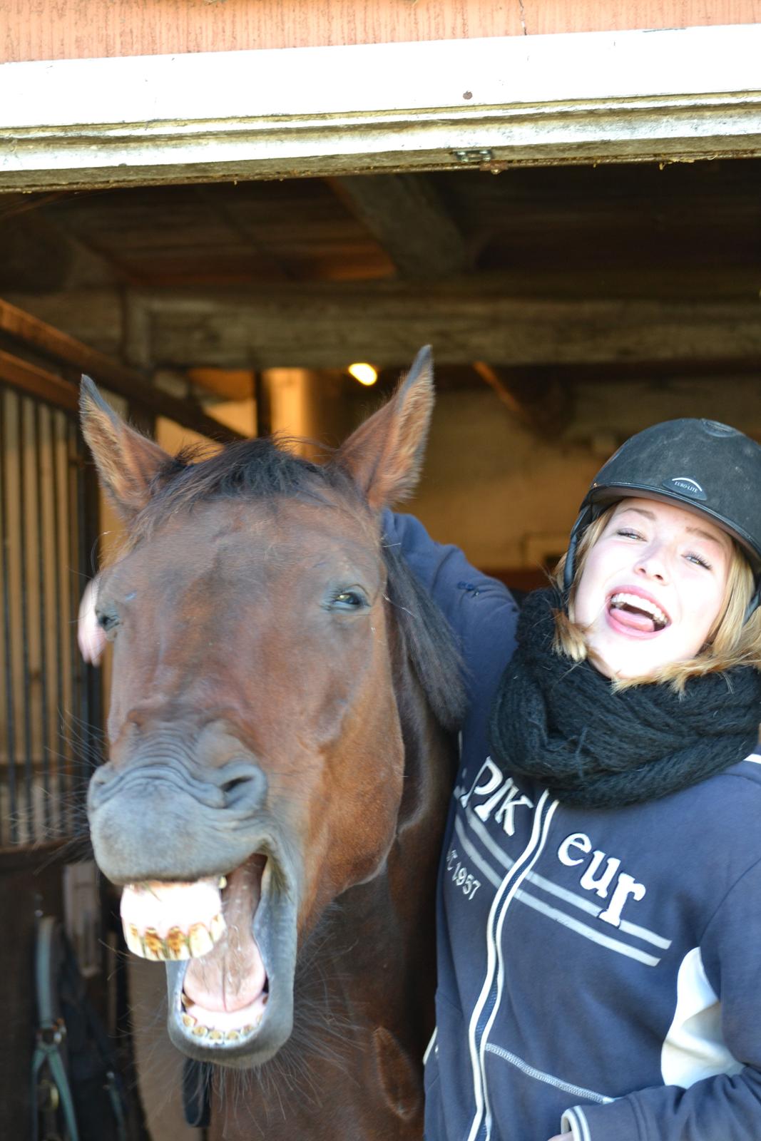 Hannoveraner Lille Per - 8. Grim og grimmere! Efterår, 2012 billede 7