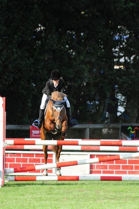 Anden særlig race Westergaard's Gabbi |B-PONY| Solgt - du det eneste jeg drømmer om skat!<3 billede 18