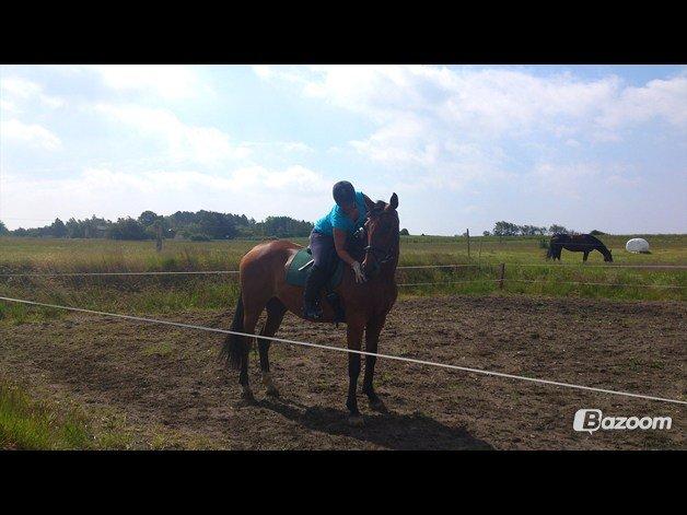 Oldenborg Okholms Caranya billede 8