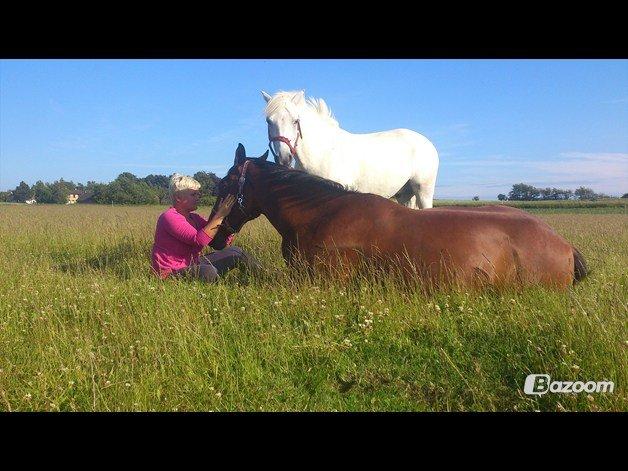 Oldenborg Okholms Caranya - Hygge på folden... dejligt! billede 10