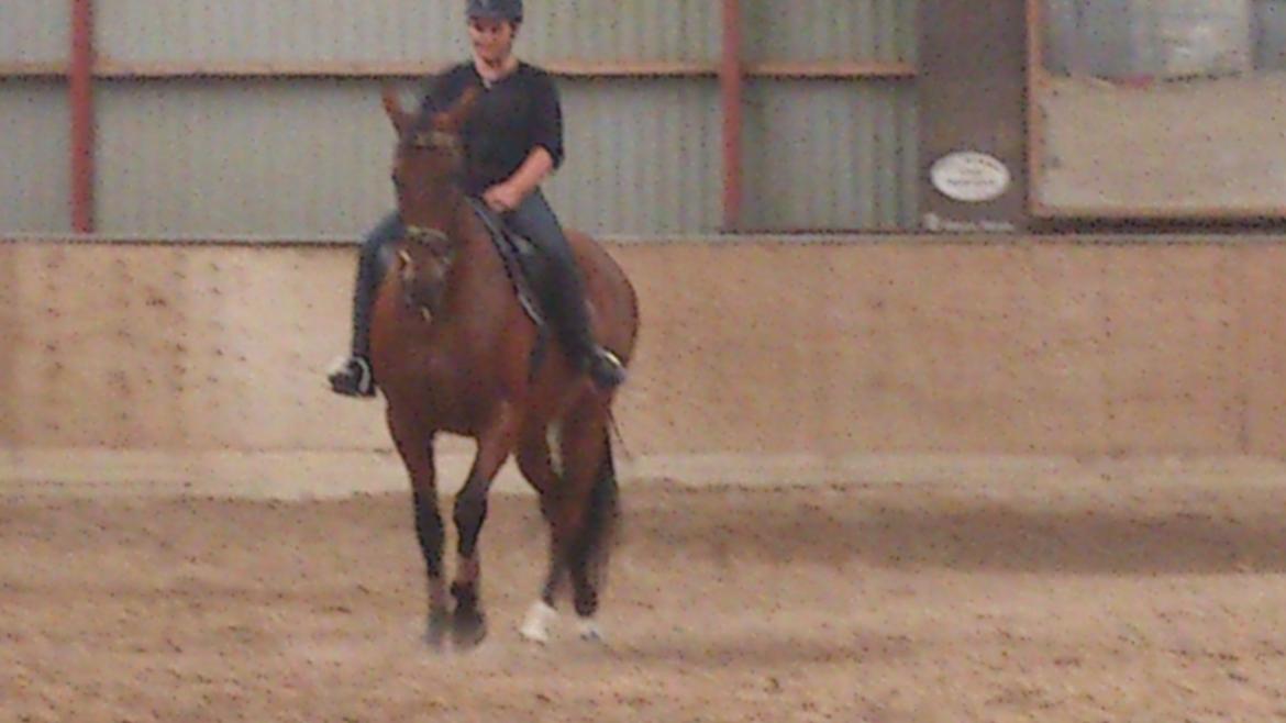 Oldenborg Okholms Caranya - Vi er så småt begyndt at gå lidt til siden. . . billede 11