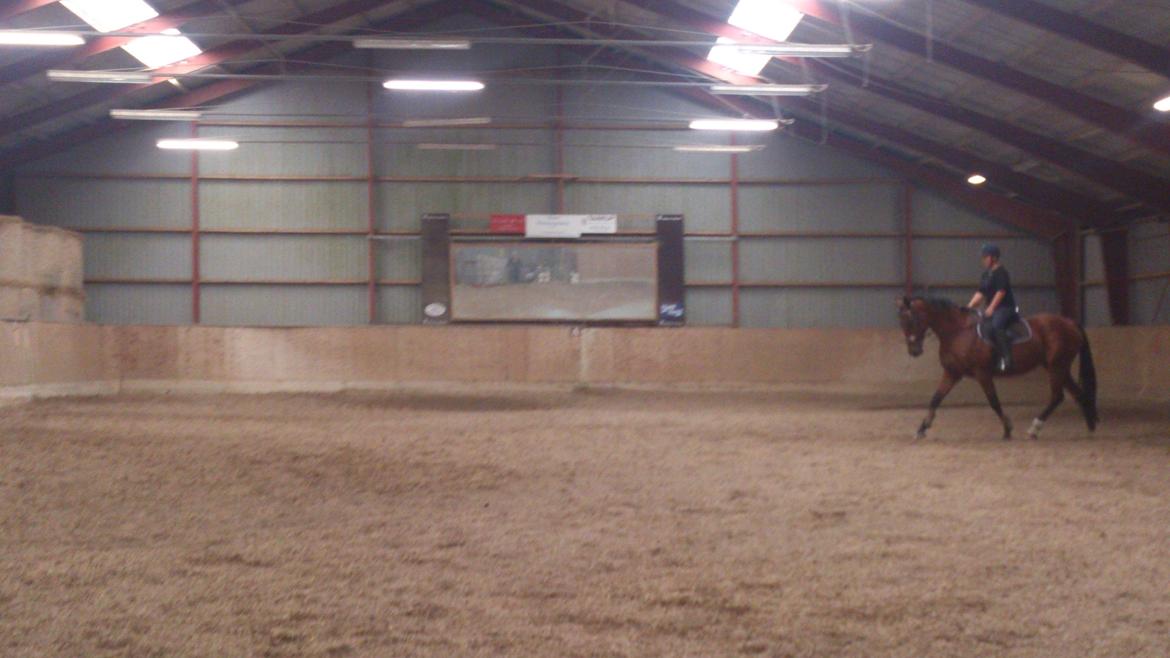 Oldenborg Okholms Caranya billede 13