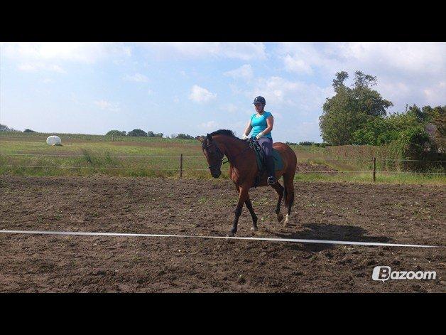 Oldenborg Okholms Caranya billede 15