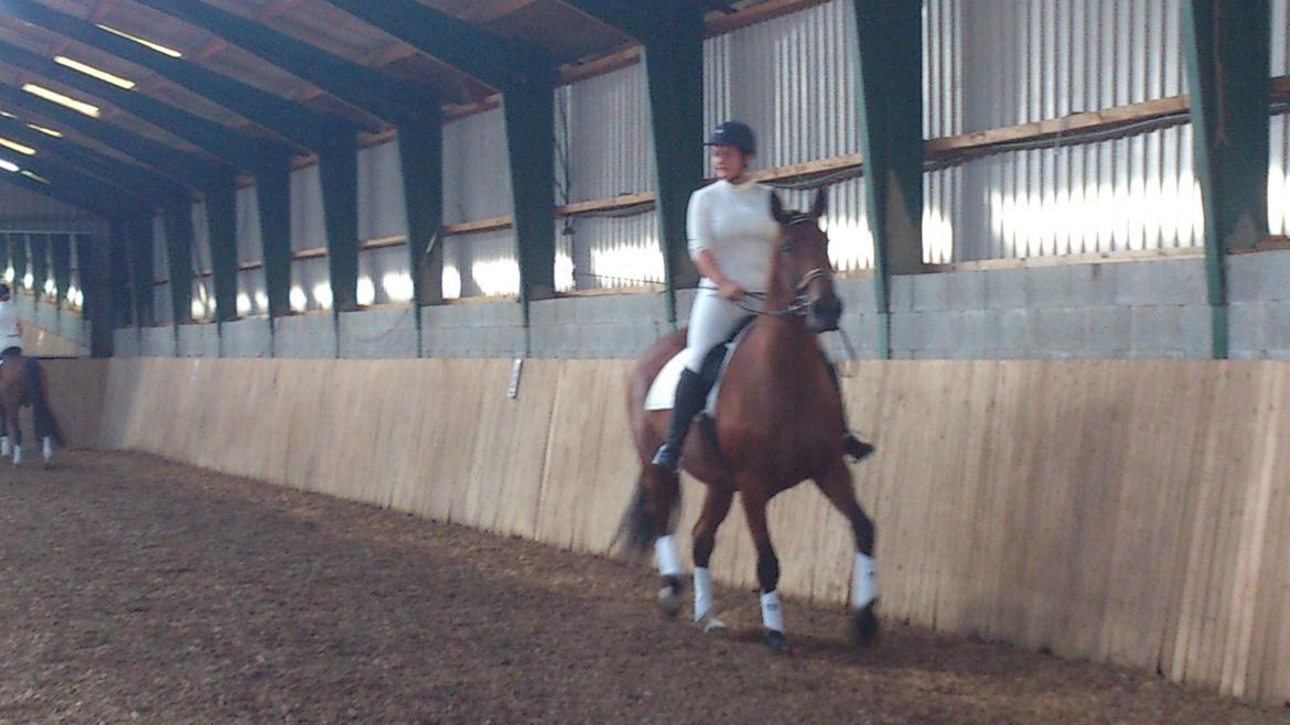 Oldenborg Okholms Caranya billede 17