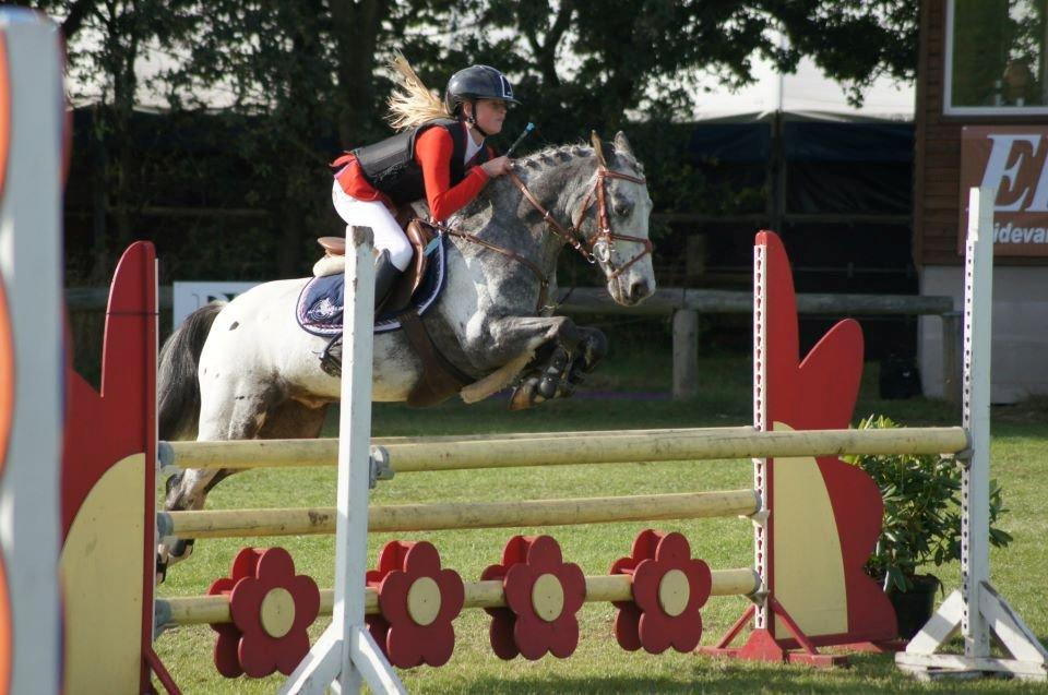 Appaloosa MR. APPELBEY **B-pony** (Søsters pony) billede 12