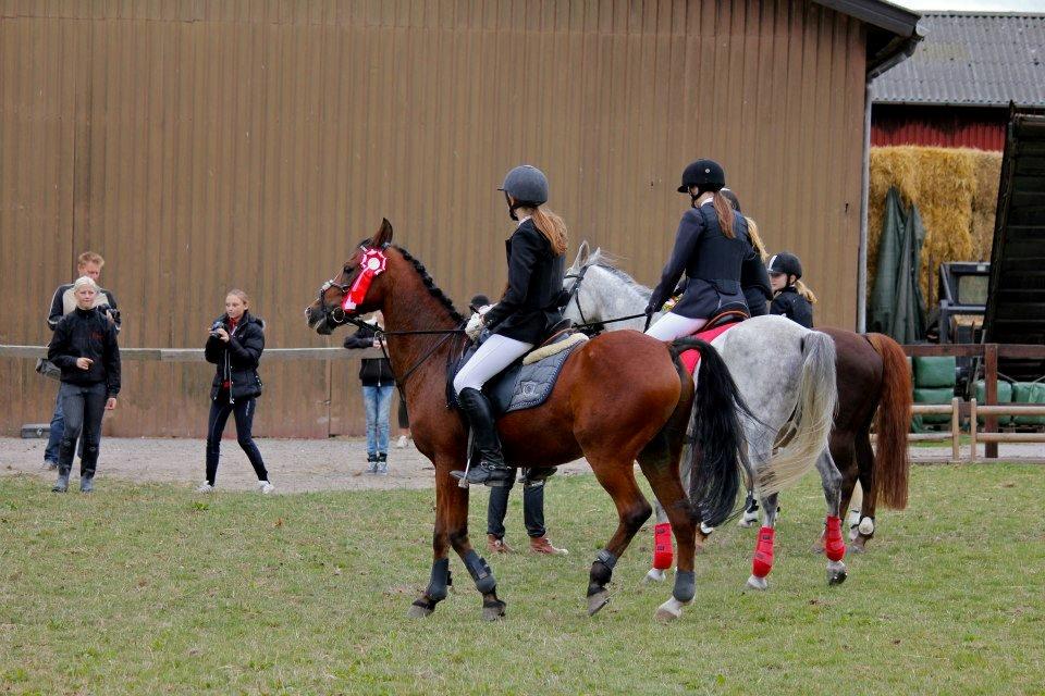 DSP Passion * Palle* - 09-09-12 billede 1