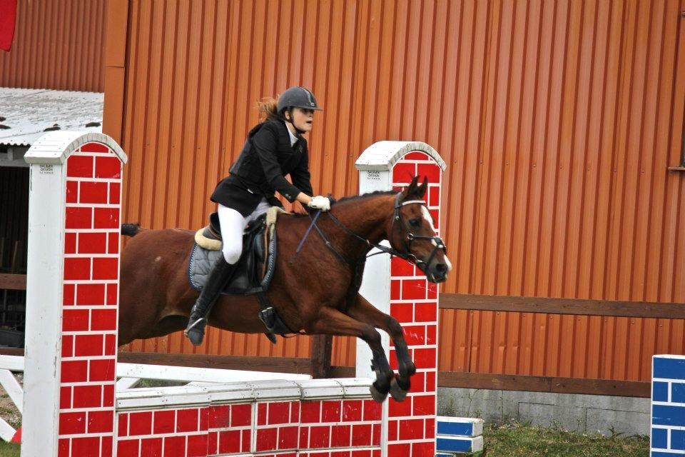 DSP Passion * Palle* - 09-09-12 billede 2