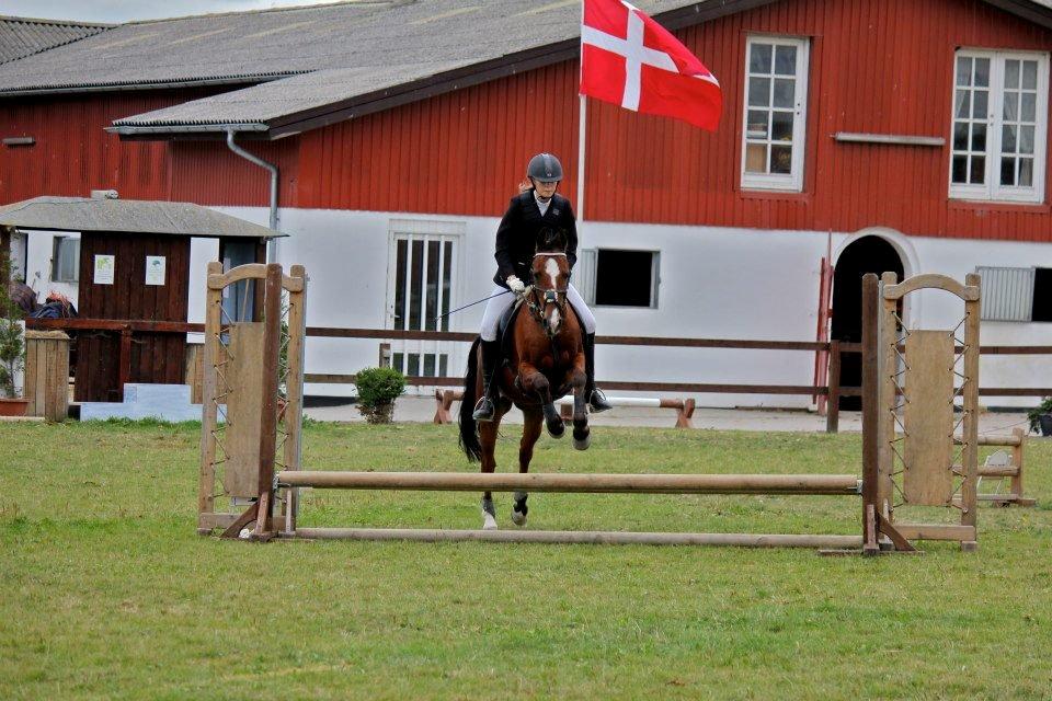 DSP Passion * Palle* - 09-09-12 billede 3