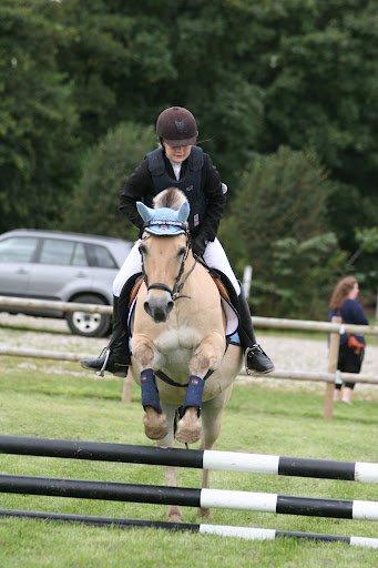 Fjordhest Casper Hedelund - Vores første stævne men anden klasse :D billede 3