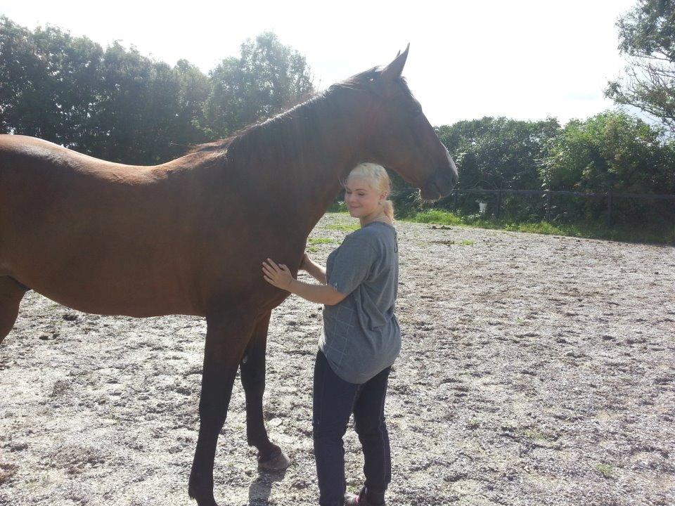 Traver Ferrari Hoff billede 6