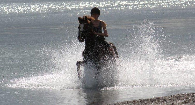 New Forest Orchid's Champer<3 solgt :'-( billede 18