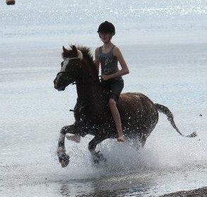 New Forest Orchid's Champer<3 solgt :'-( billede 19