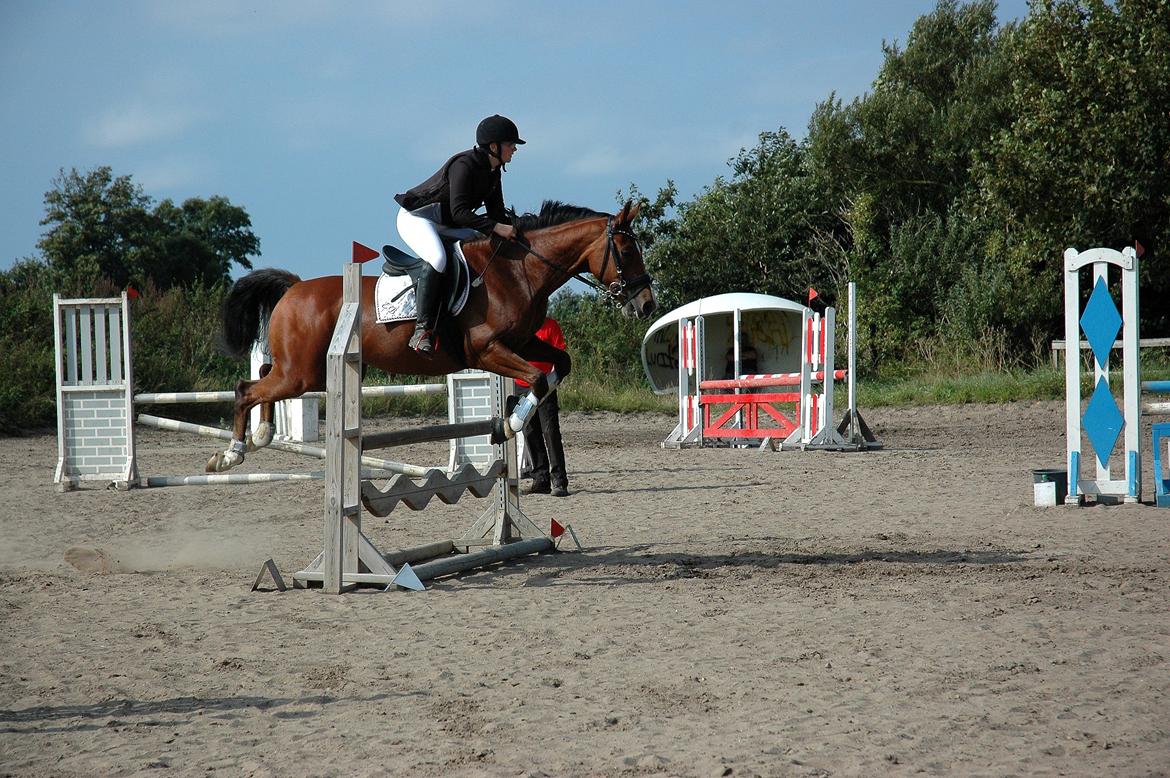 Anden særlig race freeman (fimse/gustav) - brundumdam billede 16
