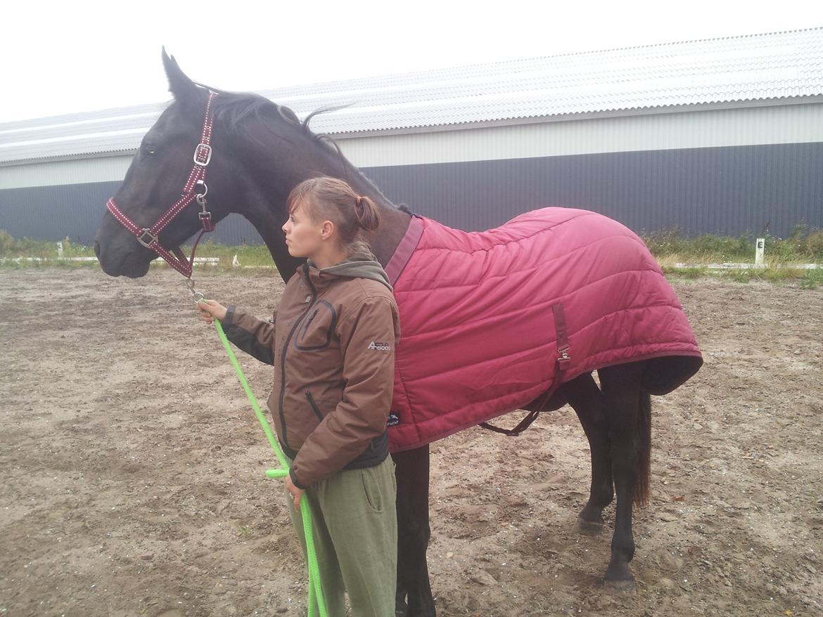 Oldenborg Lille bror ( Diablo) billede 4