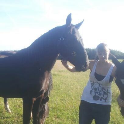 Oldenborg Lille bror ( Diablo) billede 7