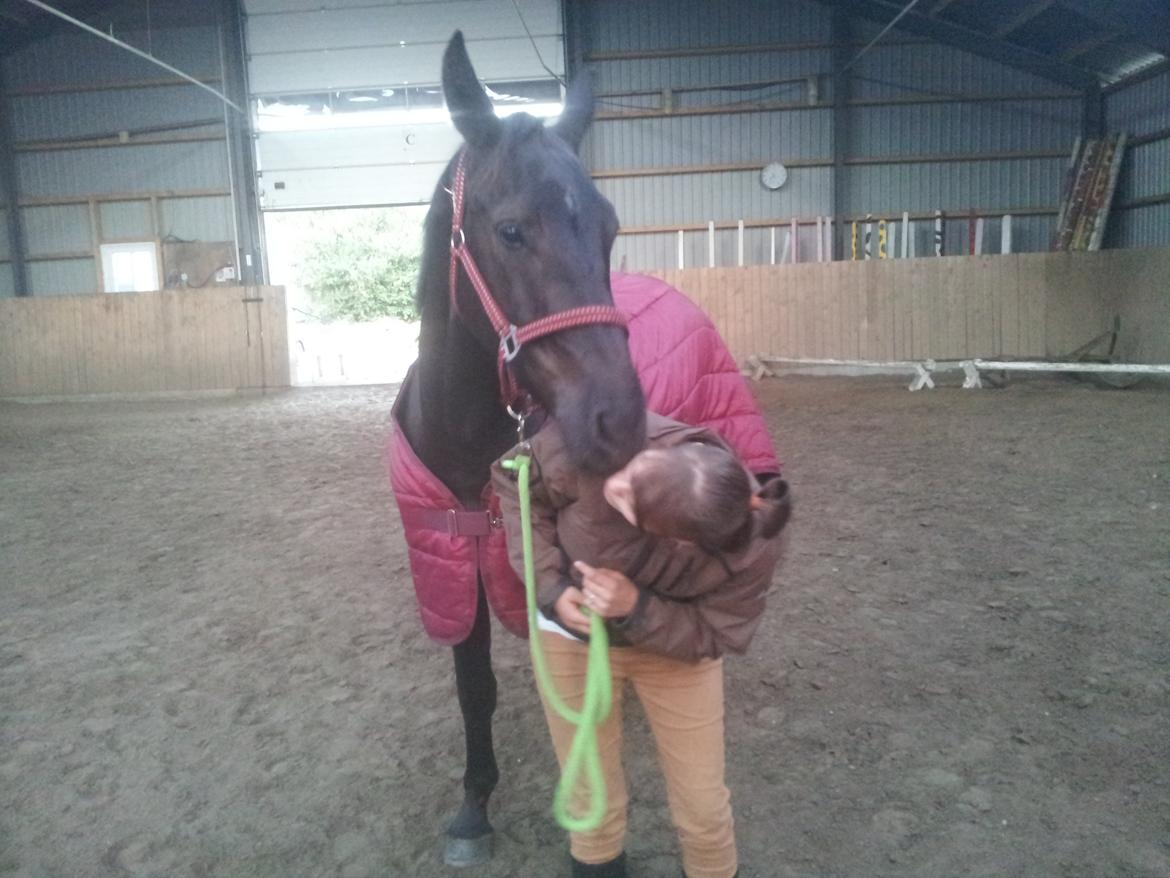 Oldenborg Lille bror ( Diablo) billede 6