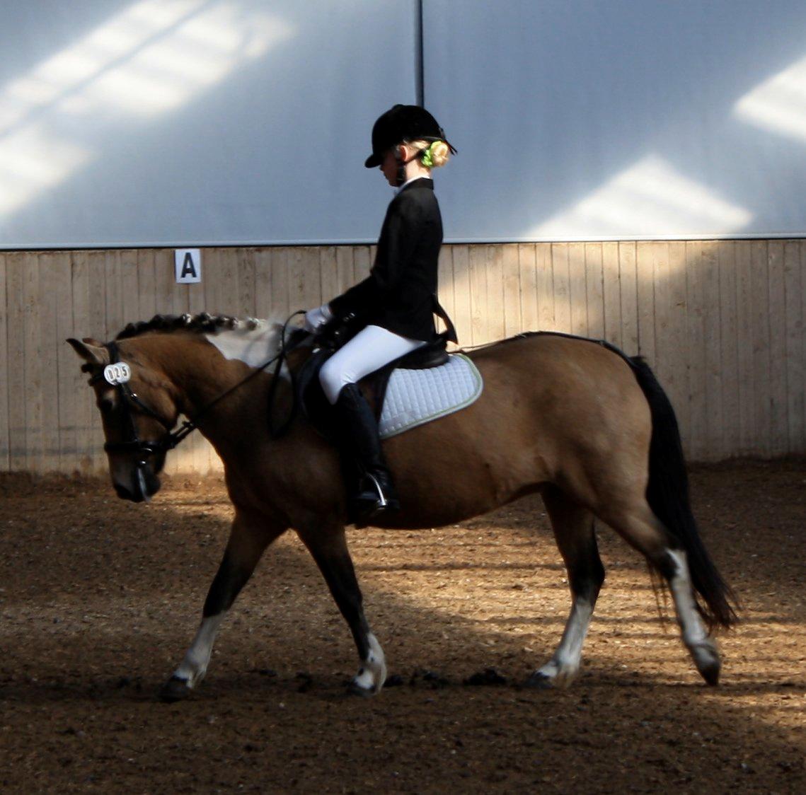 Anden særlig race Bonni - Hun gik SÅ fint! billede 11