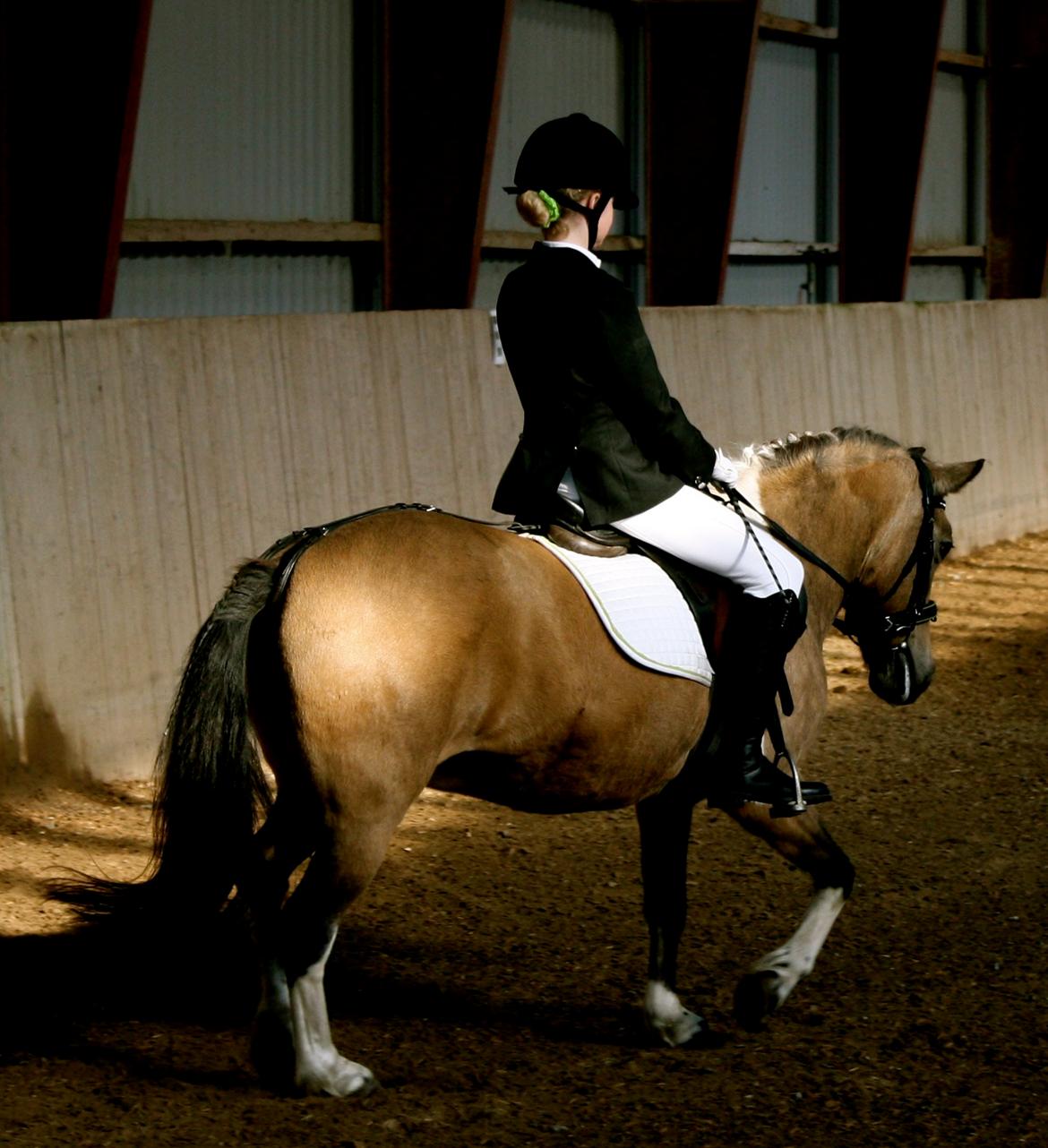 Anden særlig race Bonni billede 12