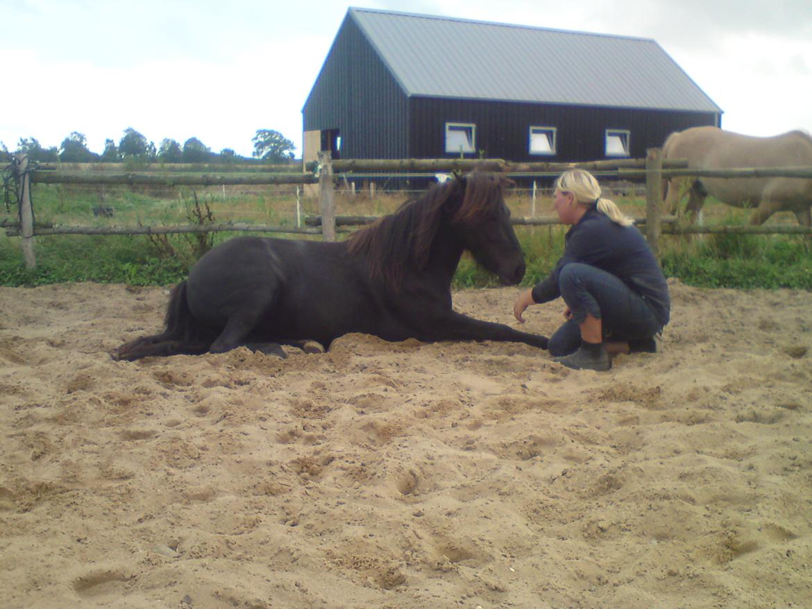 Anden særlig race frida billede 1