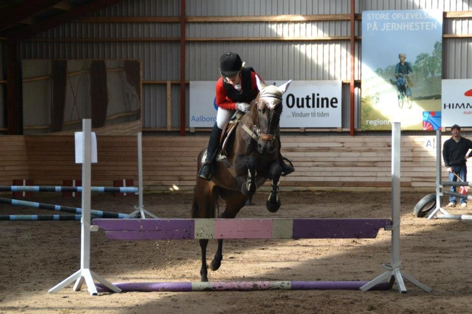 Anden særlig race Lundgaards Mulan SOLGT - LD cup-klasse fase 1, 2. stævne :) billede 2