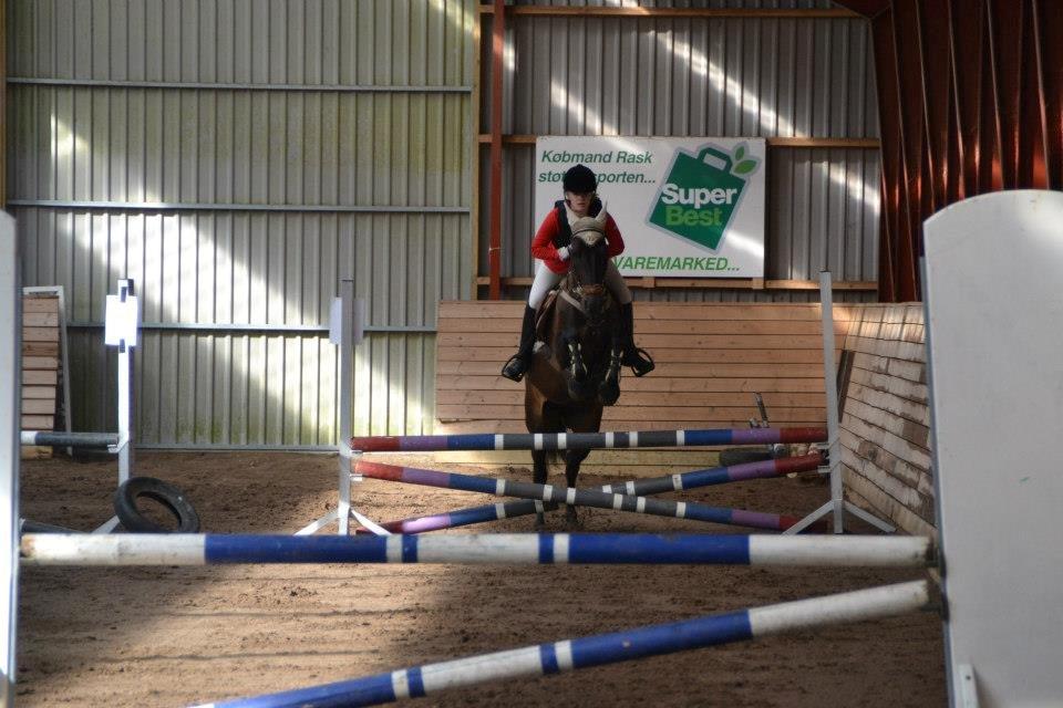 Anden særlig race Lundgaards Mulan SOLGT - LD cup-klasse fase 1, 2.stævne :) billede 3