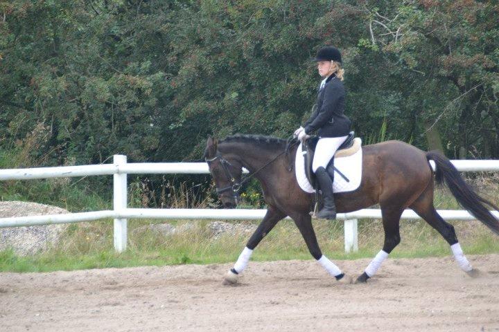 Anden særlig race Lundgaards Mulan SOLGT - 2. stævne, 1. dressurdebut, LD2 til 65 % :-) billede 7