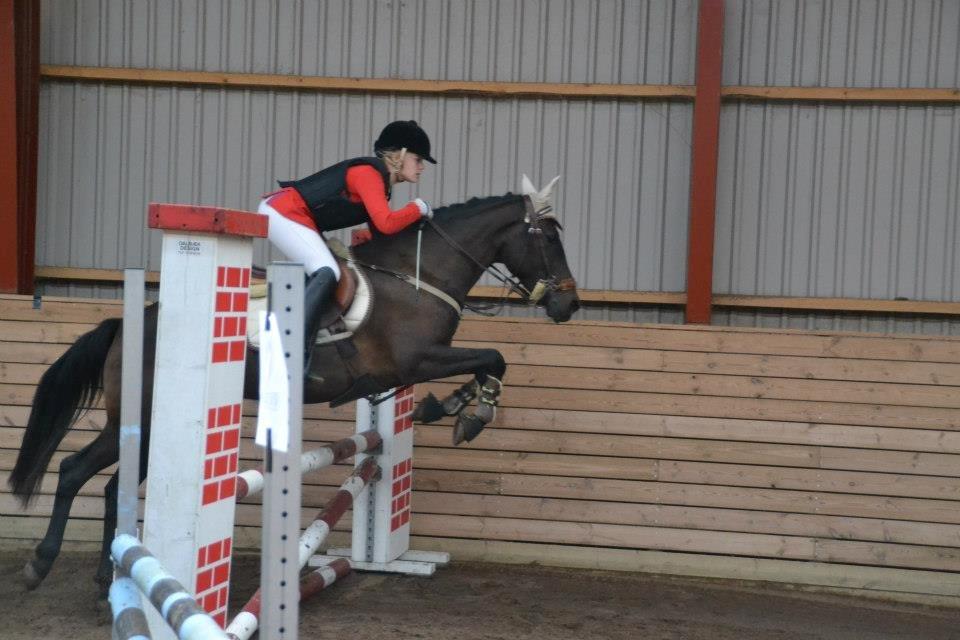 Anden særlig race Lundgaards Mulan SOLGT - LC spring - første LC & første bane på 80 :-) billede 5