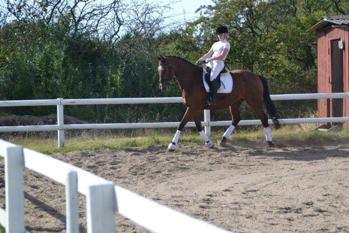 Anden særlig race Gypsy Bally - Mig & stjernen i kür, til vores 2. stævne sammen. Vi vandt klassen :-) billede 2