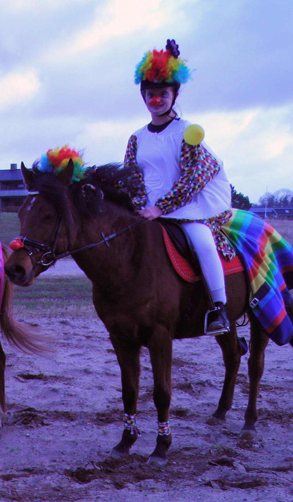 Welsh Partbred (Sec F) Amigo Citrus - Fastelavnsstævne, bedste udklædning :-) billede 10