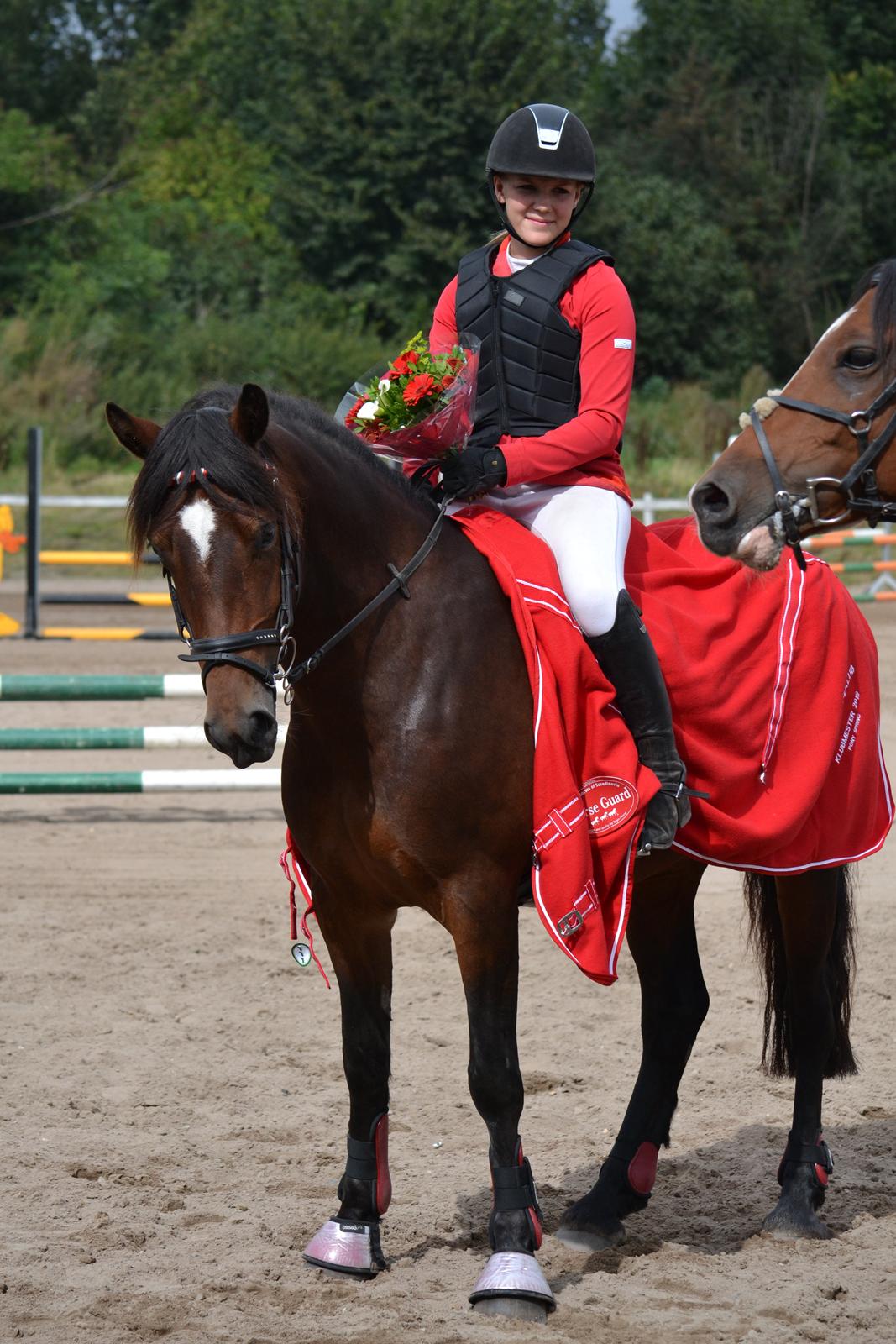 Welsh Cob (sec D) Fronerthig Mary Jane!<3 $$$ - Klubmesterskab 2012! nr.1 på Zippo og nr.3 på Jane <3 billede 18